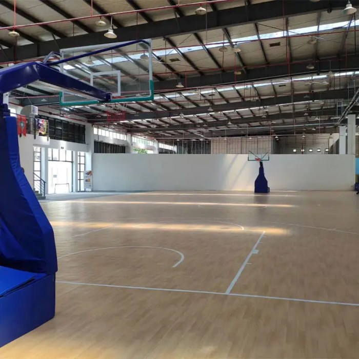 c685db5c60f0b1b63b12daa79883b643 1 - Lantai Vinyl Lapangan Basket Pilihan Terbaik untuk Performa dan Estetika