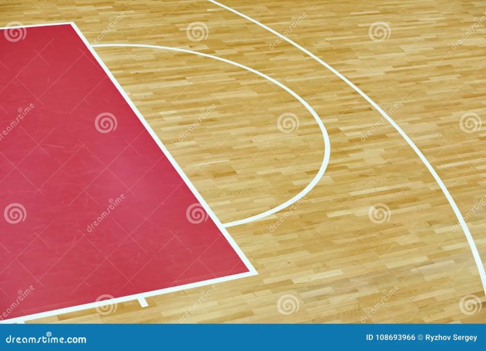 Multipurpose Basketball Court Flooring at ₹ 200/square feet ...