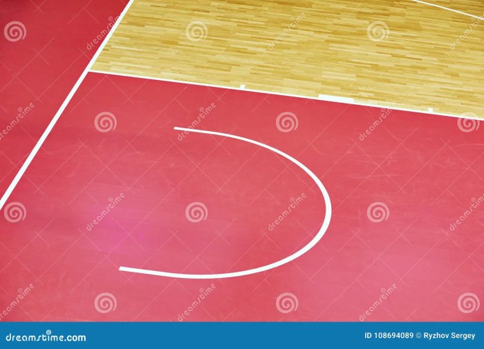 Hardwood Basketball Court Features - Avind